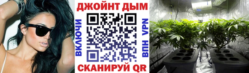где найти   Ардон  Конопля VHQ 